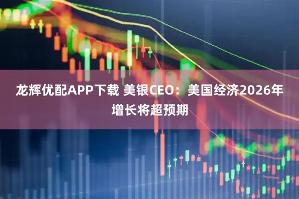 龙辉优配APP下载 美银CEO：美国经济2026年增长将超预期