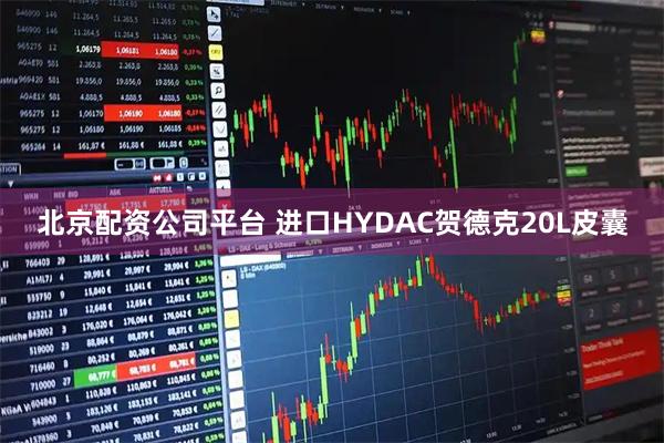 北京配资公司平台 进口HYDAC贺德克20L皮囊